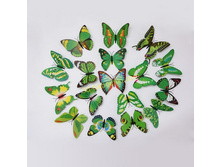 ������������ 5 ��̣���.jpg