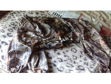 ��������. �������� ����