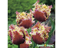 ������� �������� 5 ��. ��. - 189,6 ���. ��. ���������. ������� 11 ��..jpeg