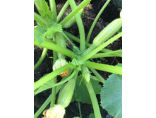 ������� ������� � ��������� ������.