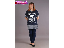 �0088, 430���, 46-56��.