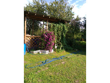 IMG 20170811 163012.jpg