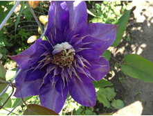 �������� ������ ���