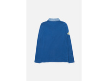 20110280054   Iris        (    ).jpg