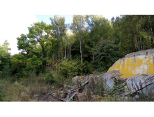 IMG 20170924 134252.jpg