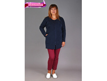 �0043, 1200���, 50��.