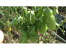 ����� �����.