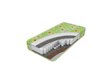 ������ �����-������� ������� ����� �������� ������� - ����������� ��������� ���� (EVS 500).jpg