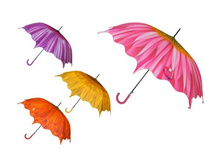 ����-������ "������" D������ =100�� ������: 9570 ������: ������� ������ 100�� ����: 432.00 �.