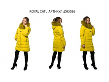 ZH 5036 ���� 5300�