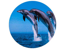 S06301012 ����� ��������� ������ �������� R16,17 SKYWAY ���-���� (���������) ���� 620 ���..jpg