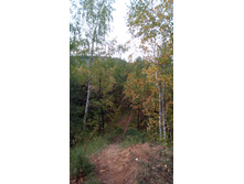 IMG 20170924 144116.jpg