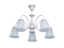 450015005 6200�.jpg