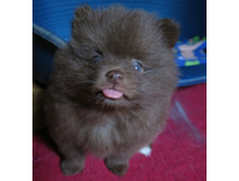 ����� 004.JPG