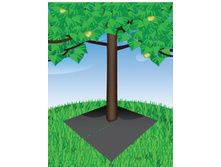 17. ������������ ������� ������ 80 �� �� 80 �� ���� ���������� ��� �������, 2 �� � ��������.jpg