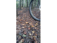 IMG 20170901 105744.jpg