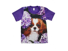 ����� 3D �������� �� ������� (������ � ���������),  286�.