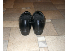 CIMG5541.JPG