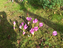 IMG 3037.JPG