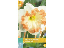 306.370, ������� (Narcissus) Sunny Girlfriend, 5 �� � ��������, 275���+18%, � ������� 1��.jpg