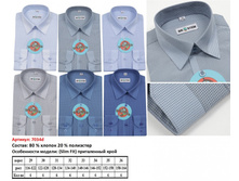 7034d (29-36) 6�� (48��) ������� ������� ��. �����, BROSTEM - 430 ��� + %