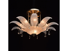 485010813 9800� (25��).jpg