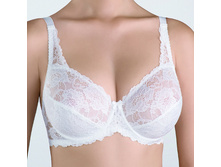 85217 ���� Erika, ���� 582 ���, 75 DEF, 80 BE, 85E, 90 D