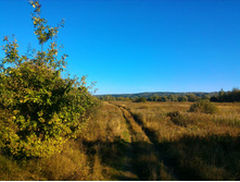 P 20170923 151158.jpg