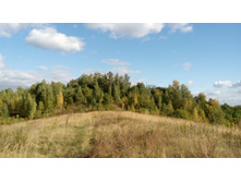 IMG 20170924 141515.jpg