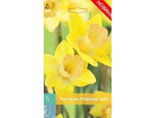 306.690, ������� (Narcissus) Blushing Lady, 5 �� � ��������, 166���+18%, 2��.jpg