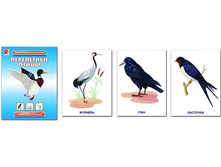 ������ ���������������� ��������. ���������� ����� - 118,18 ���