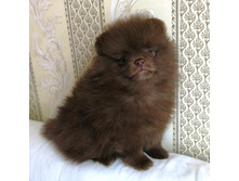 ����� 004.JPG