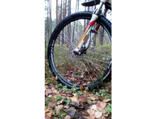 IMG 20170930 113521.jpg