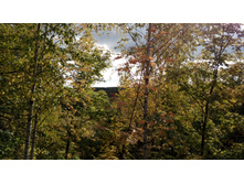 IMG 20170924 144458.jpg