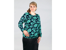 2/17-2060��  ������� ���. "�����"(������)