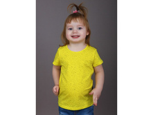 �������� 6 (�������), 80 ���.