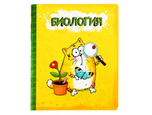 ������� ���������� "��������", "����", 48 ������ ����; ������; 0,3 �� × 16,6 �� × 20,3 ��; ������; � ����� 192 ��. ���.: 190381 17.00���.