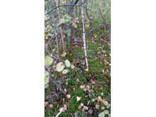 IMG 20170916 124733.jpg