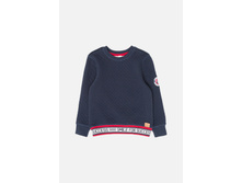 20120100086   Europro        -     (   ).jpg