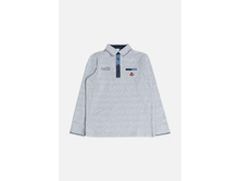 20100280003   Cane        (   ).jpg