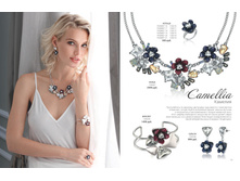 Florange 2017 04 51.jpg