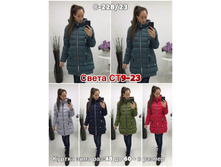 136.jpg--------------230
