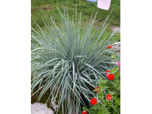 ������ ���������.jpeg