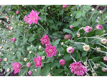 ��������� ���������� "���� ��������� "