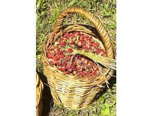 ����� 4.jpg