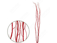 8075 ������ 150 �� 3 �� � �������� (�������) 240�.jpg