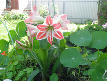 ����������? ��������?