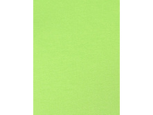 4641-���������.jpg