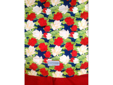 ^71BF90C3621A8A8C02ED13D0A66897432F3DDEA93C8F86D916^pimgpsh fullsize distr.jpg