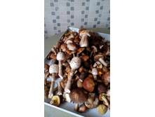 IMG 20170916 163433.jpg